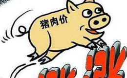 猪肉价格已逼近春节时段高位