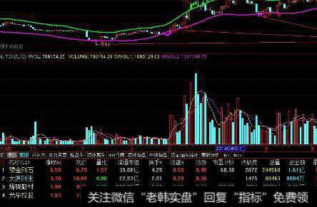 刘姝威是怎样对蓝田股份的偿债能力进行分析的？