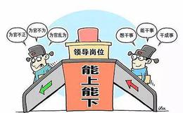 如何对待交易损失？如何进行大规模调苍？