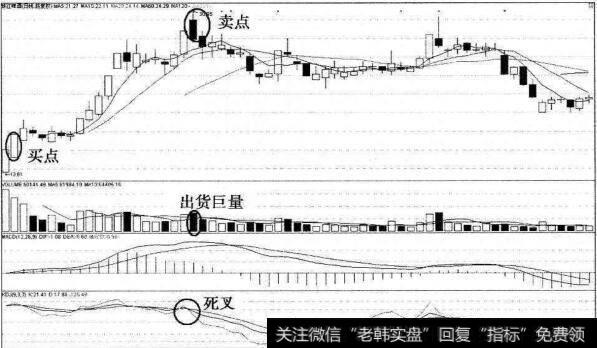 珠江啤酒新股首停