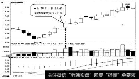 金种子酒日K线