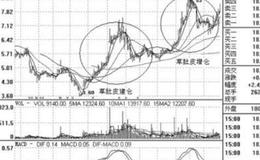 大智慧建仓提醒指标公式具体分析