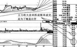 散户与主力的关系是什么？