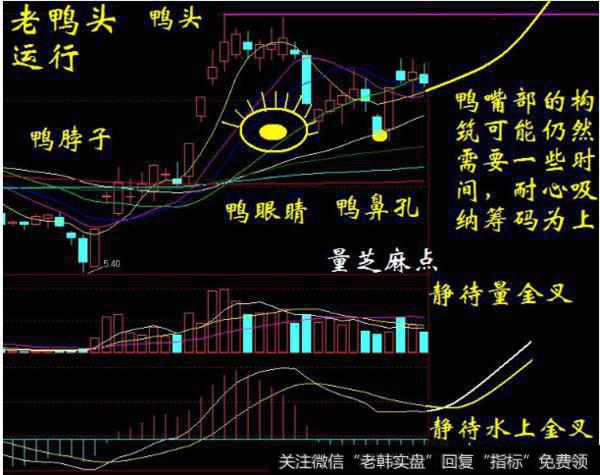 大智慧涨停观察指标