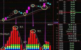 大智慧正大VOL指标公式源码详细分析