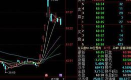 大智慧主力<em>牛股指标</em>公式源码详细解析