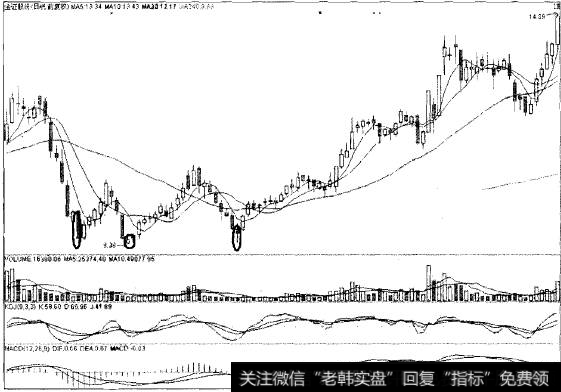 三足鼎立猎杀软件黑马金证股份