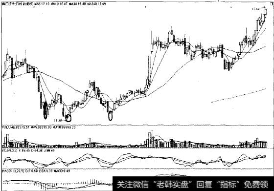 三足抓立猎杀浦东燕马娜江投资