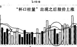 新大陆“杯口柱量”实例的分析