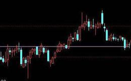 贴现公司自由现金流估值方法的四个步骤是什么？