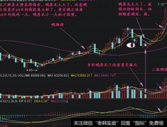 大智慧市场潜能指标