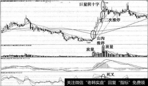 张江高科山沟涨停