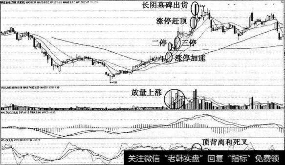 涨停加速猎杀钱江生化