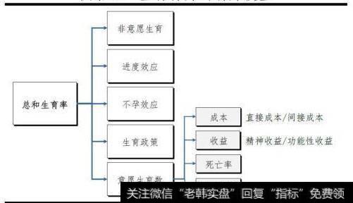 [任泽平谈股]生育理论，从死亡率下降驱动到功利性生育意愿消退，再到成本约束