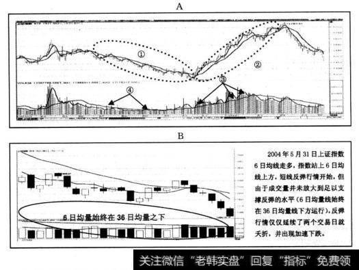 研究发现，反弹行情的推动能置——成交量，扮演了比较重要的角色