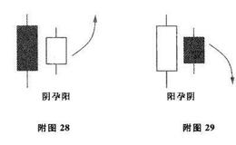 孕线及其市场特性