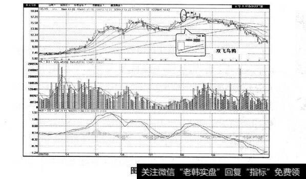 图2-13 双飞乌鸦及其市场特性