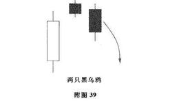 两只黑乌鸦及其市场特性