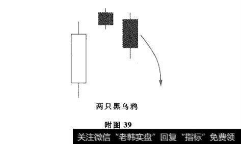 附图39 两只黑乌鸦及其市场特性