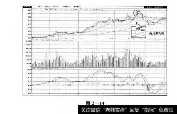 图2-14 两只黑乌鸦及其市场特性