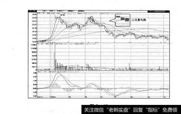 图2-18 三只黑乌鸦及其市场特性