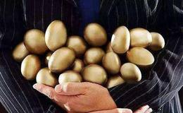 头肩底形成过程中的操作要点有哪些？