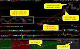 如何设立止损点？设立止损点的原因是什么？