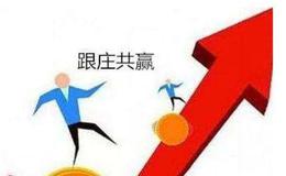 股市中的庄家与散户的关系是怎样的?