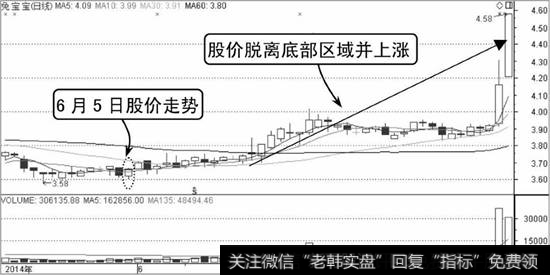 兔宝宝K线走势图1