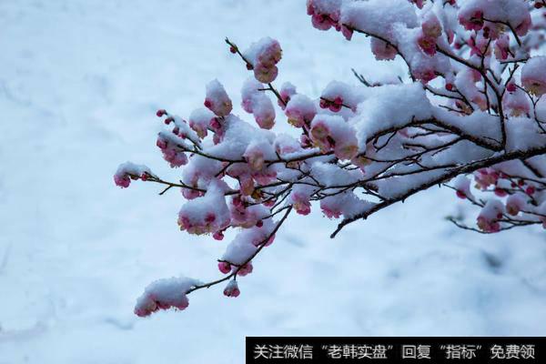 “<a href='/gushiyaowen/290226.html'>券商</a>”崩塌是重要信号；周五之前可以满仓