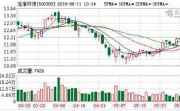 <em>龙净环保</em>：融资净买入714.11万元，融资余额4.61亿元（06-10）