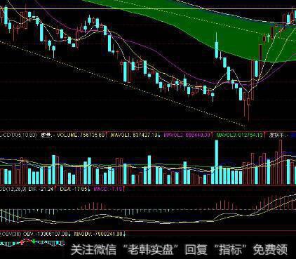 [股票传统技术分析领域有影响的思想家]罗伯特•瑞恩