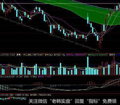 [股票传统技术分析领域有影响的思想家]罗伯特•瑞恩