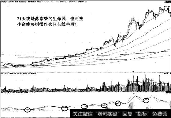 “不肯去观音”猎杀苏常柴