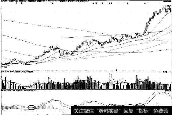 “不肯去观音”猎杀吉林放东