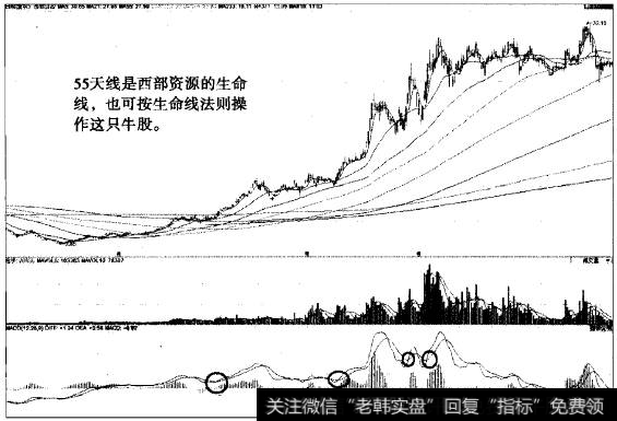 “不肯去观音”猎杀西部资源