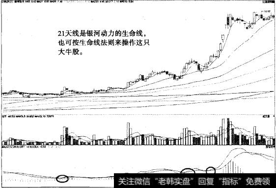“不肯去观音”猎杀银河动力