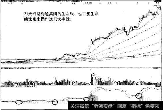 “不肯去观音”猎杀海通集团