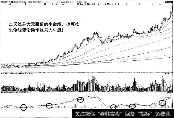 “不肯去观音”猎杀大元股份