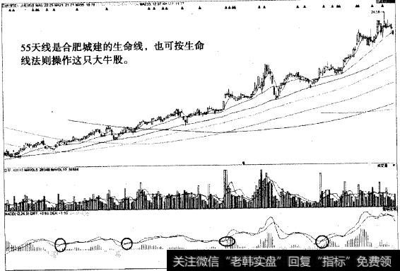 “不肯去观音”猎杀合肥城建