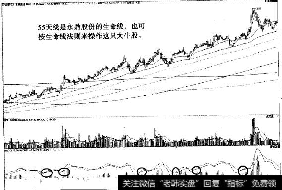 “不肯去观音,猜杀永鼎股份