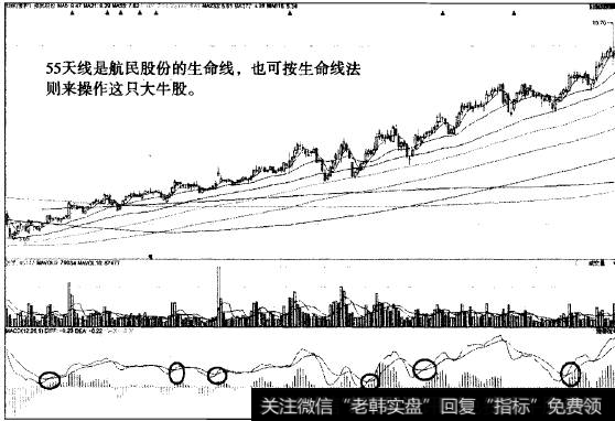 “不肯去观音’猎杀航民股份