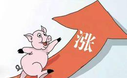 鲜果猪肉领涨推升CPI 物价未来怎么走