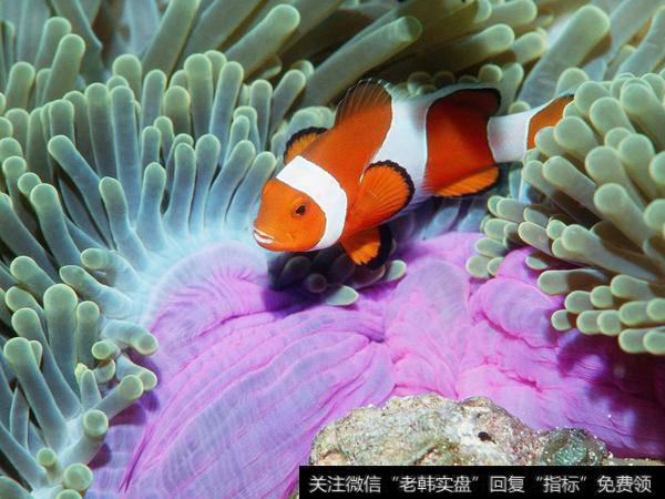 佛山<a href='/chaodi/'>抄底</a>2.2亿氢能源个股；<a href='/longhubang/200925.html'>同益股份</a>值得关注