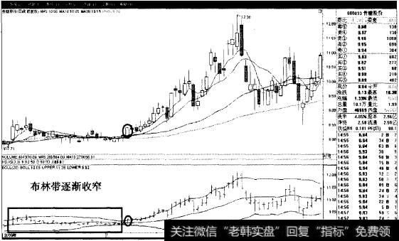 喇叭花开猎杀贵搪股份