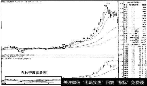 喇叭花开猎杀韶钢松山