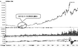 牛市行情中的选股技巧及案例详解