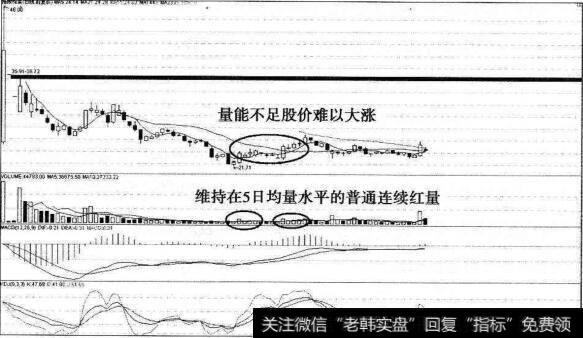 涪陵榨菜谷底普通连续红量