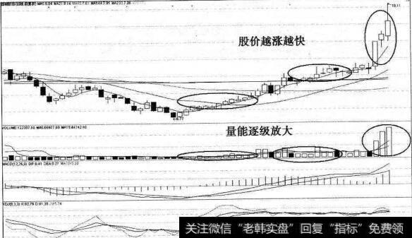 龙出红海圈子猎杀园城股份