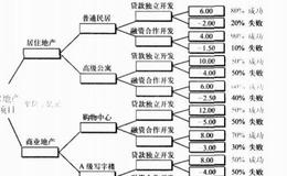 投资者怎样进行项目概率树的风险分析？